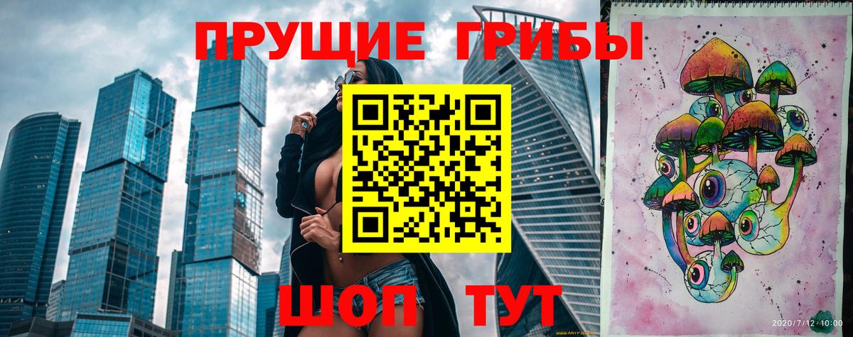 Псилоцибиновые грибы Psilocybe Ангарск