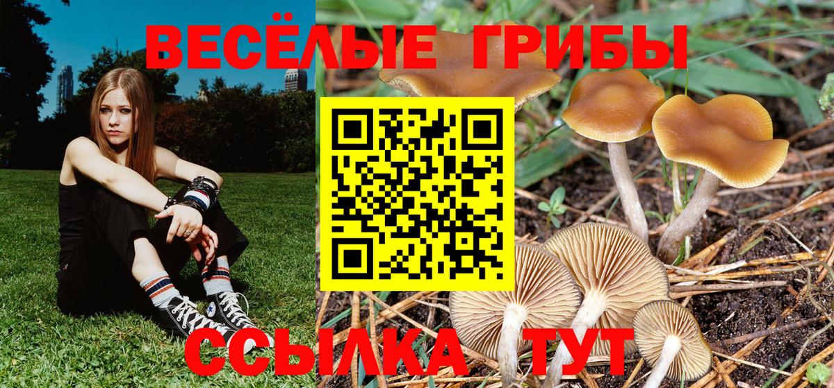 Псилоцибиновые грибы Psilocybe  Вход с VPN  Галлюциногенные грибы мухоморы  Ангарск 
